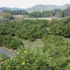 初ブログ投稿です